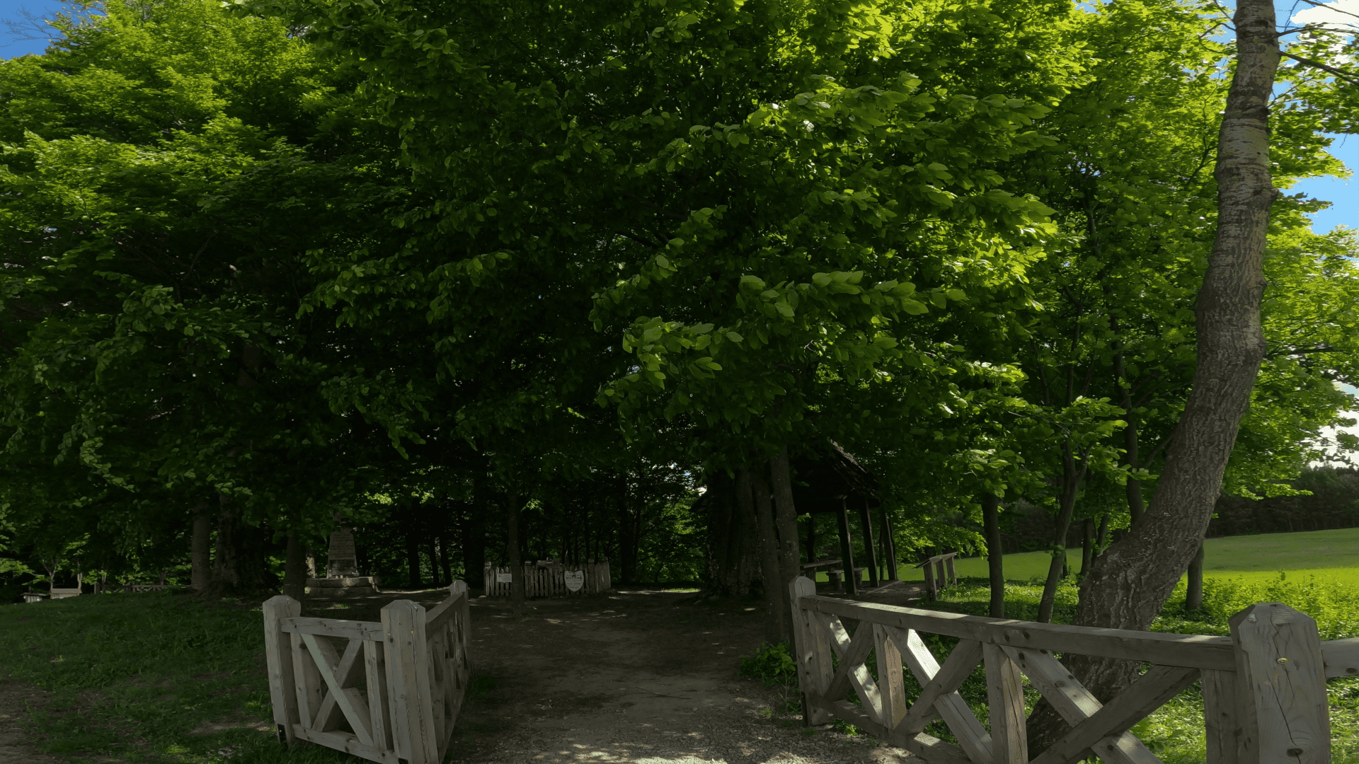 snapshot 37